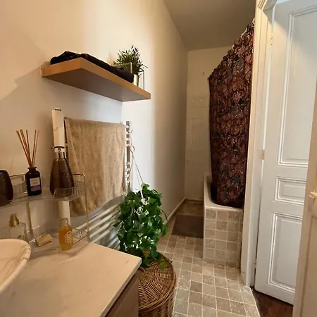 Appt De Charme - 15 Eme